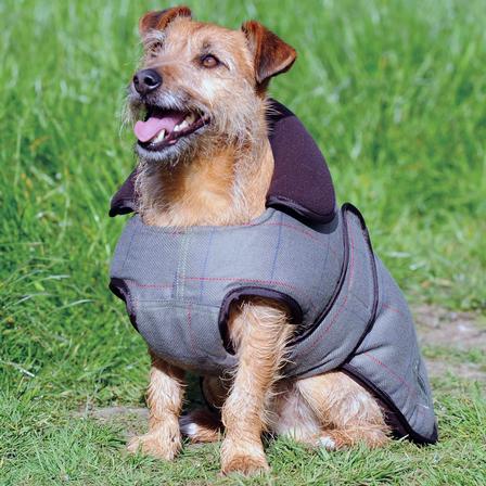 Tweed Dog Coat
