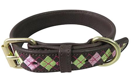 Halo's Buffy Leather Dog Collar