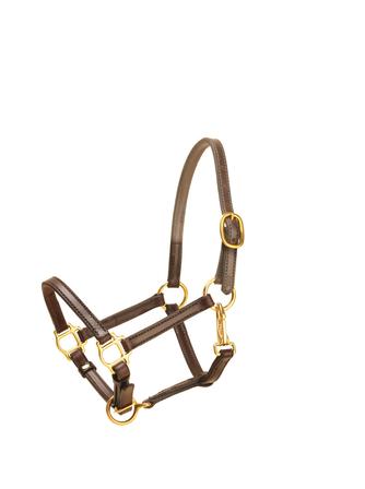 Standard Halter - 5/8 Inch