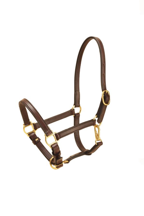 Standard Halter - 3/4 Inch