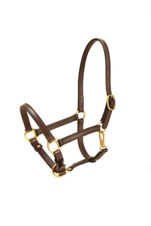 Standard Halter - 3/4 Inch