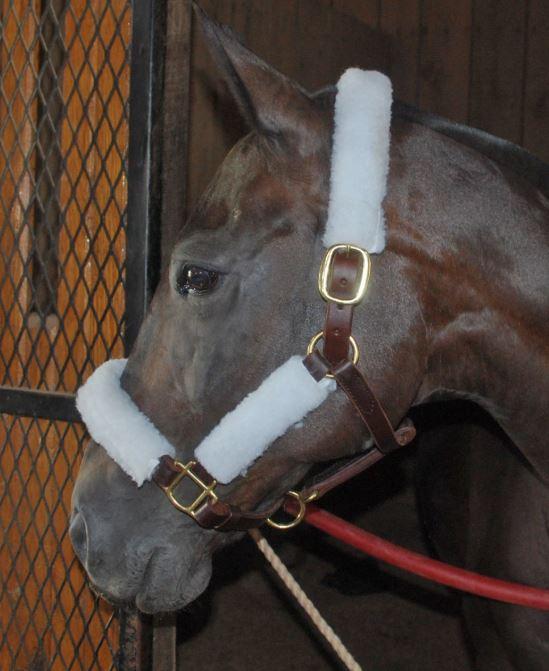 Halter Fleece Set