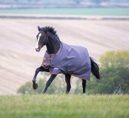 Tempest Original 200G Turnout Rug