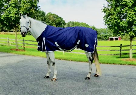 250 Gram Turnout Blanket