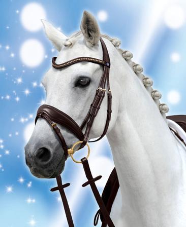 Spirit Snaffle Bridle