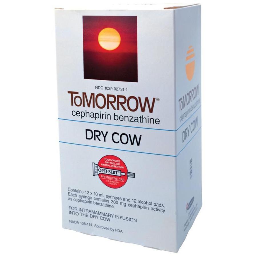 Tomorrow Single Syringe