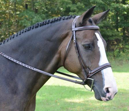 Spirit Bridle