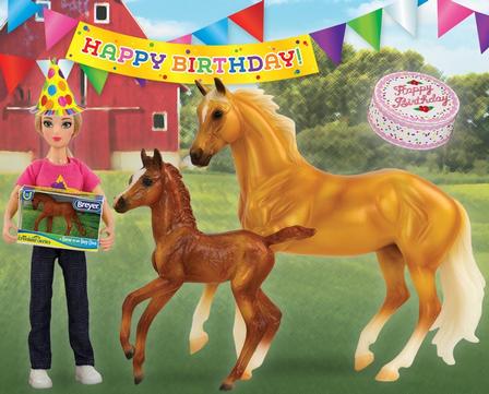 Birthday at the Barn