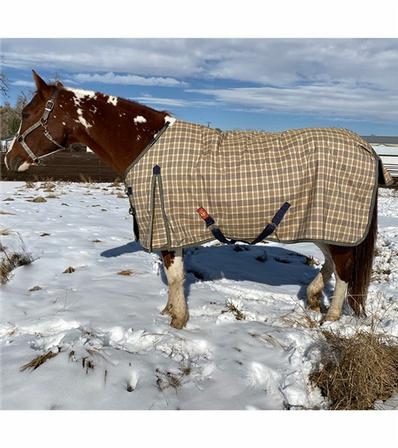 Baker Original Turnout Blanket - 400 Gram Heavy