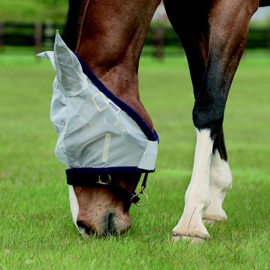 Amigo Fine Mesh Fly Mask With Ears