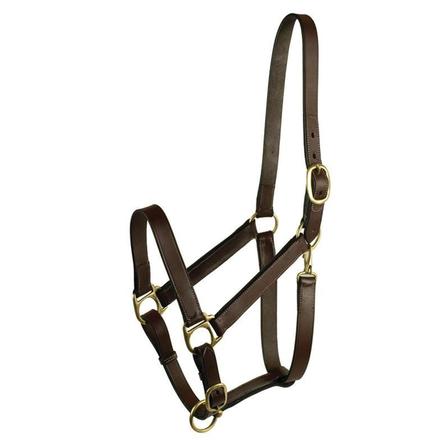 Gatsby Adjustable Halter With Snap - Weanling