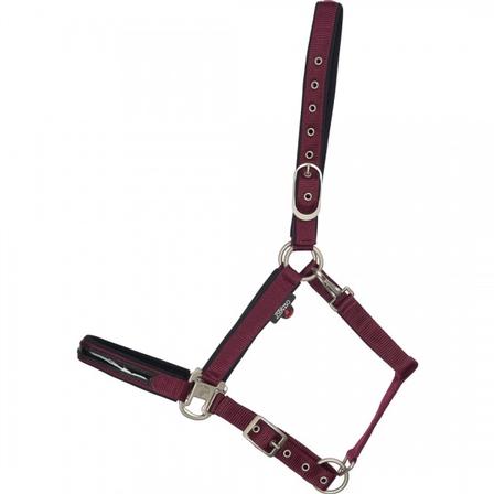 Attitude Halter