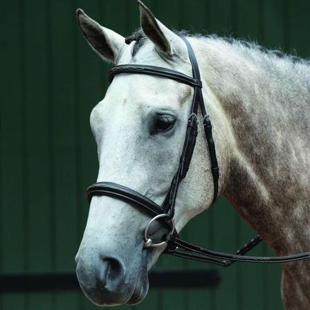 Essential Padded Raised Fancy Stitched Cavesson Bridle