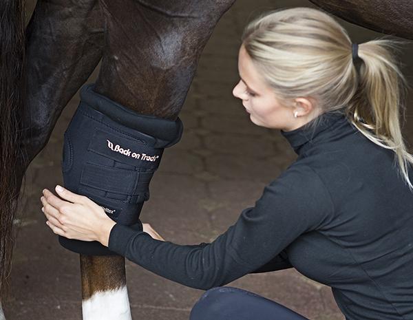 Therapeutic Padded Royal Hock Boots With Holes