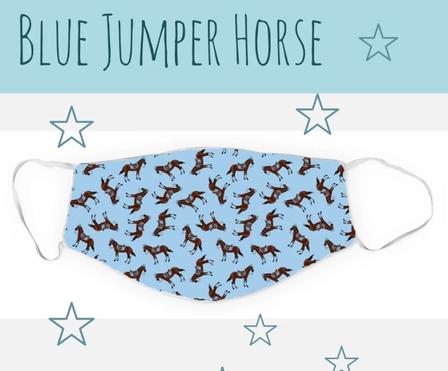 Blue Jumper Face Mask
