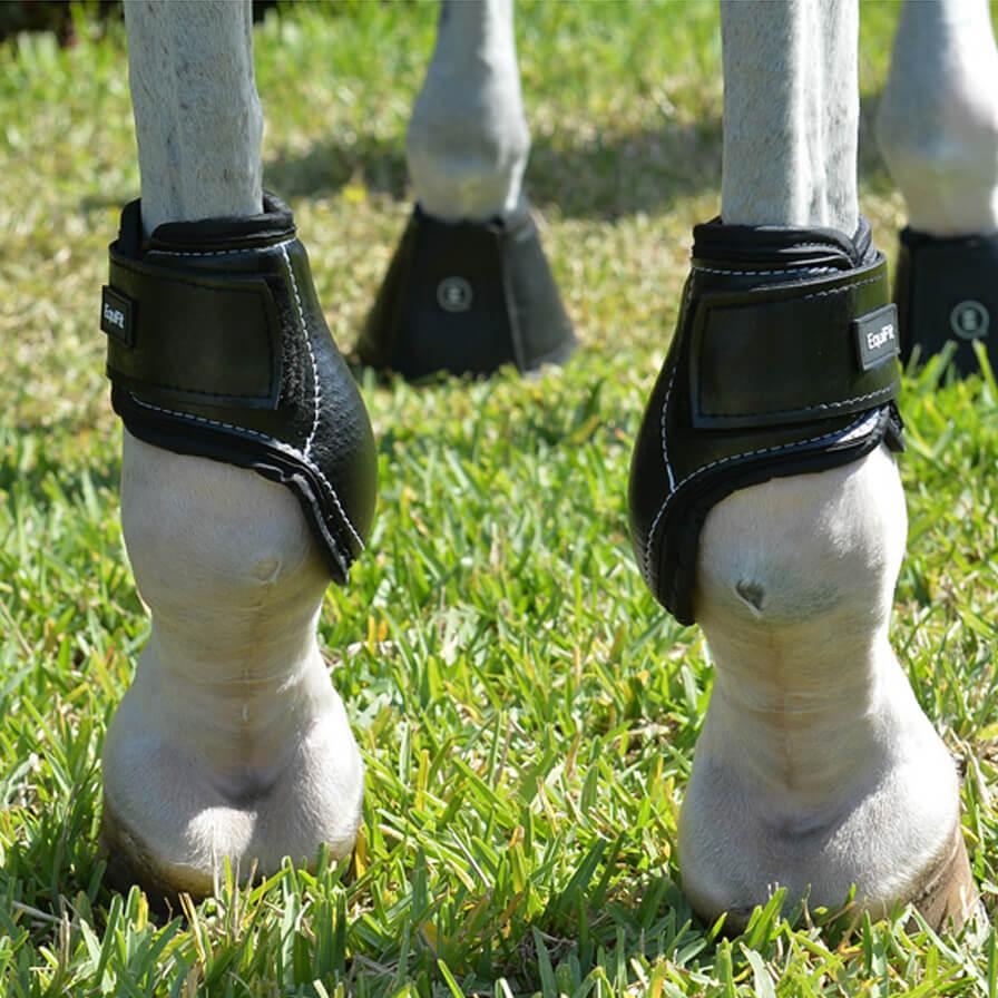 equifit hind boots