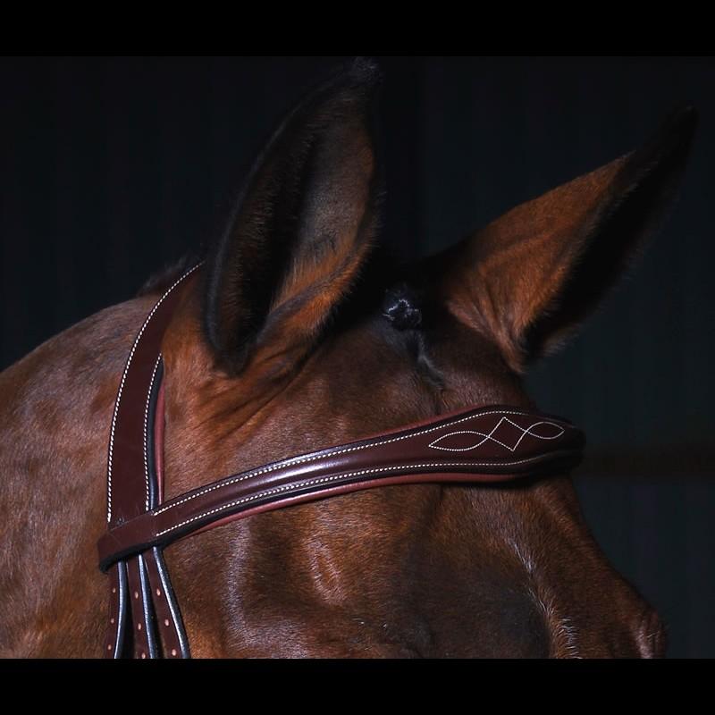 Anatomic Flash Noseband Bridle