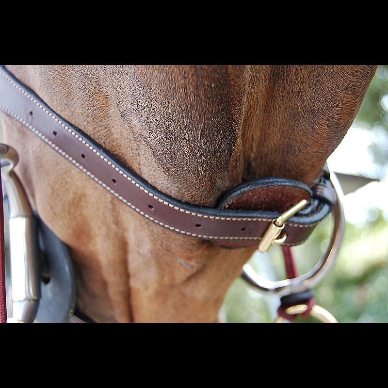 Anatomic Flash Noseband Bridle